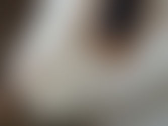 "Bolu'nun Çam Ormanları" Koku Lambası Karışımı