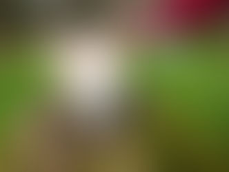 Kraliçe Elizabeth II, Köpeklere Özel Bir Parfüm Lansmanı Yapmaya Hazırlanıyor