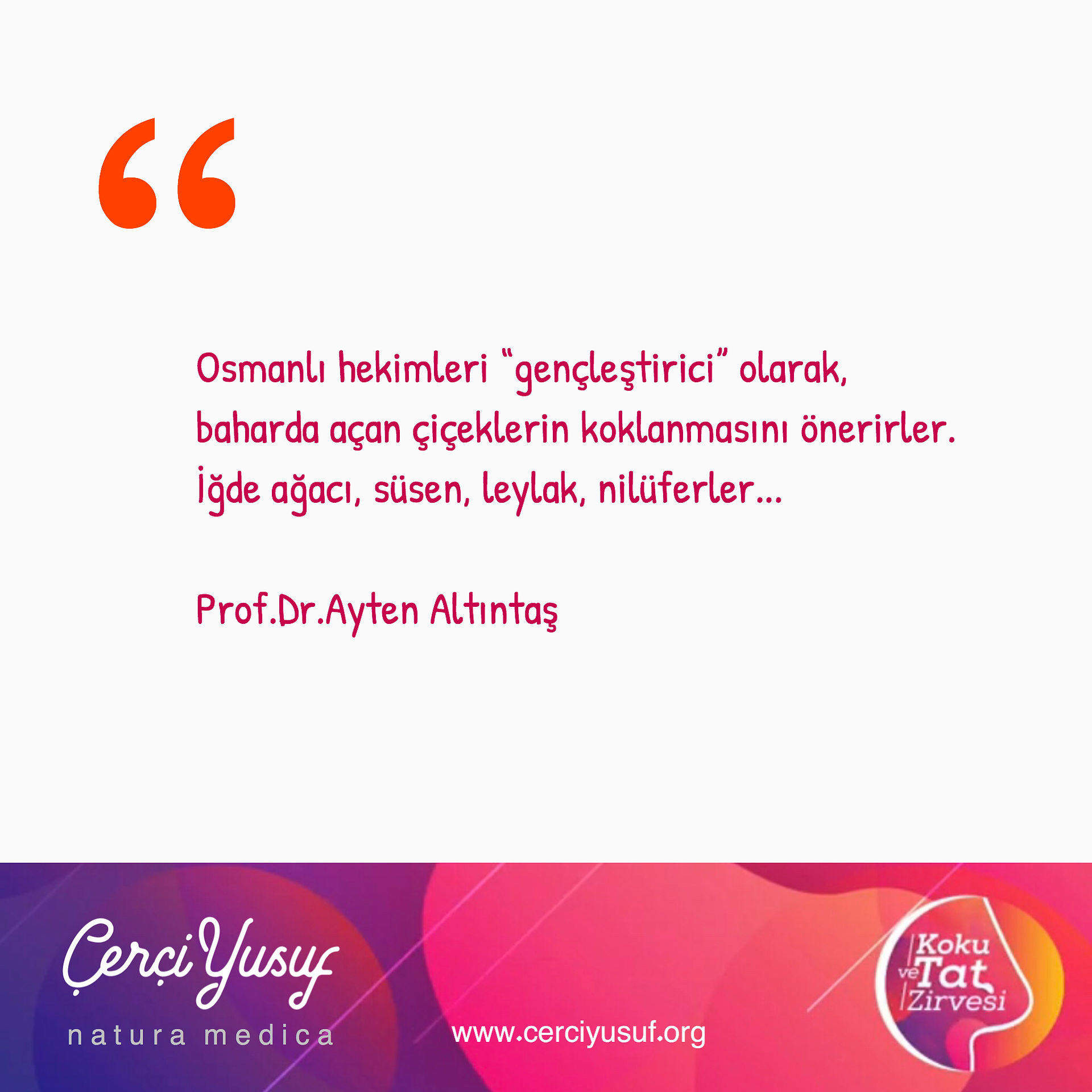 Prof.Dr.Arten Altıntaş / Koku ve Tat