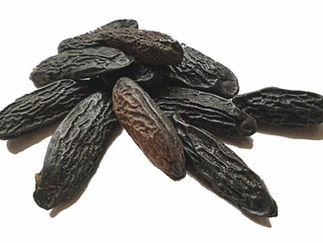 Tonka Fasulyesi (Dypterix Odorata)