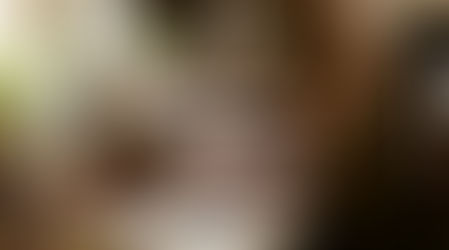 Nasıl Parfümör Olunur? | Parfüm Sanatına Profesyonel Yaklaşanlar İçin Detaylı Bir Yol Haritası