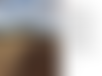 Ithaka: Onu yoksul bulursan, aldatılmış sanma kendini.