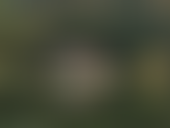 Sonbaharda Aromaterapi 🍁