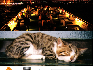 Istanbul Tour Studio 'Sounds of Bosphorus' Konseri ile Patileri Besleyecek