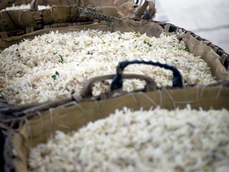 Yasemin (Jasminum spp.) "Gecenin Kraliçesi"