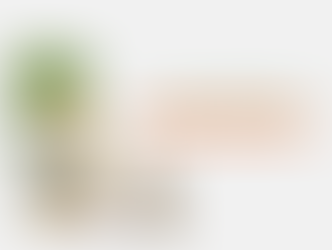 Zehirsiz Sofralar Kampanyası: Kanserojen tarım zehirleri yasaklansın