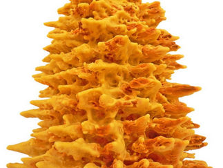 Dallı Budaklı Litvanyalı Bir Kek 🍰