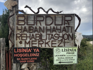 Burdur'da Sürreal Bir Proje: Lisinia