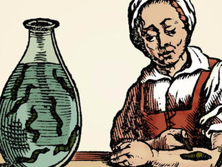 Sülük Tedavisini Ne Kadar Biliyoruz?