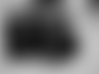 Mit dem "Fotografie tut gut-Freundeskreis" im Leitz Park