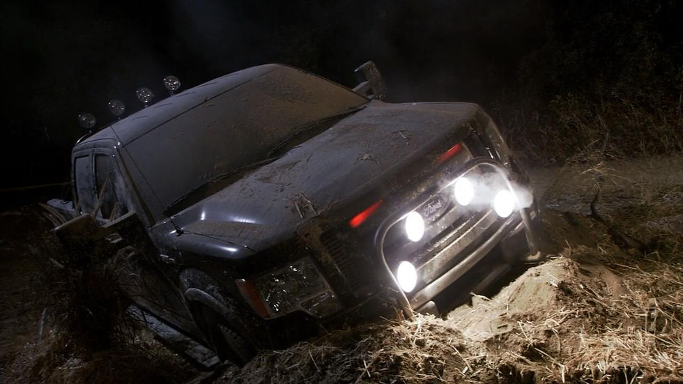 FORD F-150 2009 - 10