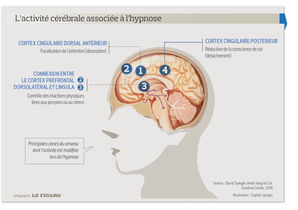 Les secrets de l'hypnose se dévoilent