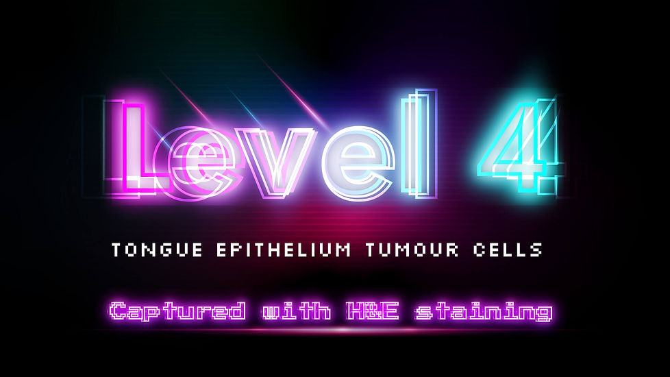 Accellerate-Header-Level4.jpg