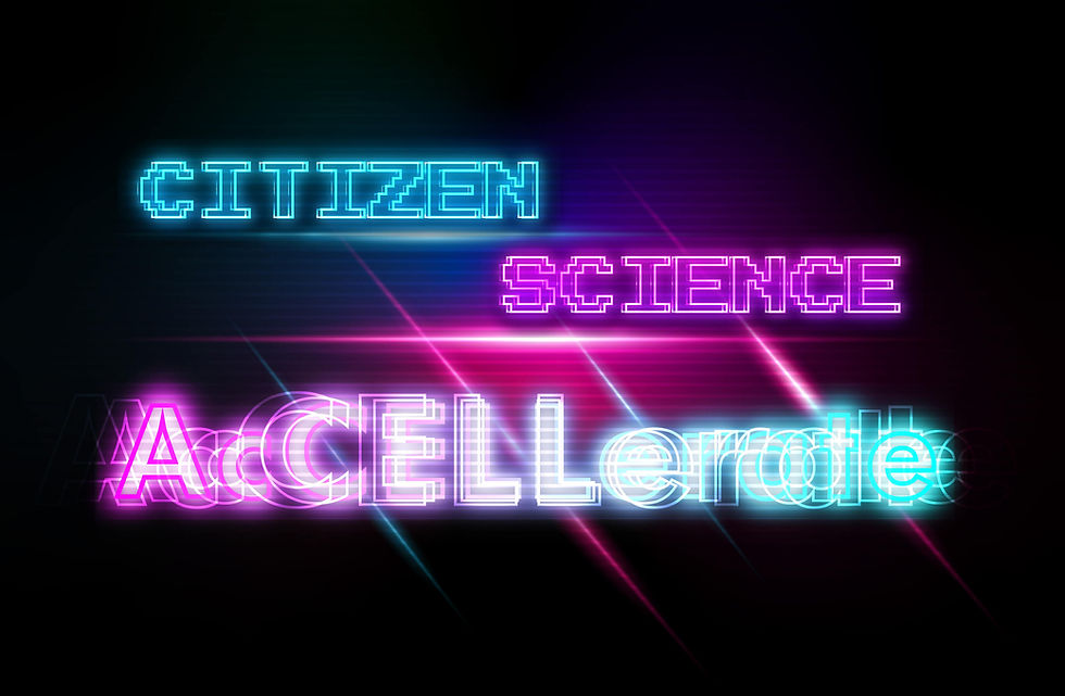 Accellerate-Header-00Main.jpg
