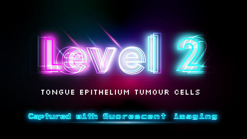 Accellerate-Header-Level2.jpg