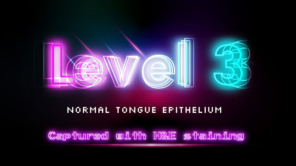Accellerate-Header-Level3.jpg