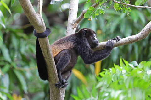CostaRicaDMC-GeneralGallery-078.jpg