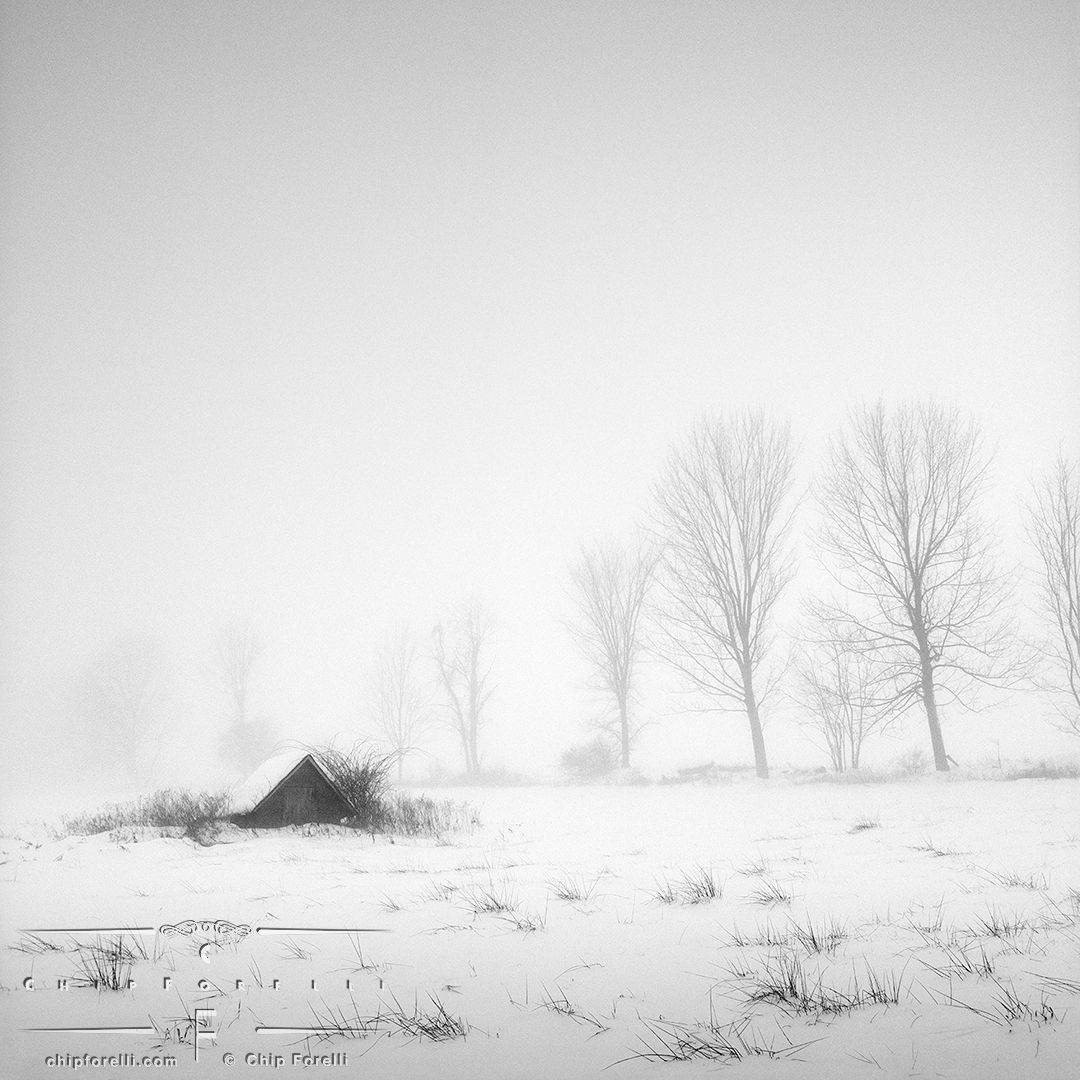 Tiny spring shed in a field and a line of bare trees receding into the background fog in snow in black and white.