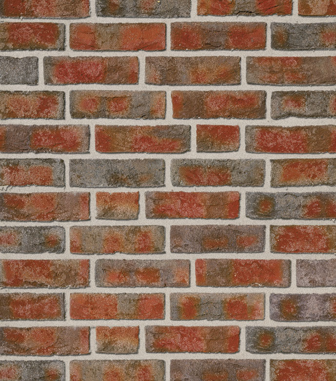 FORMBACK buntgeflammt