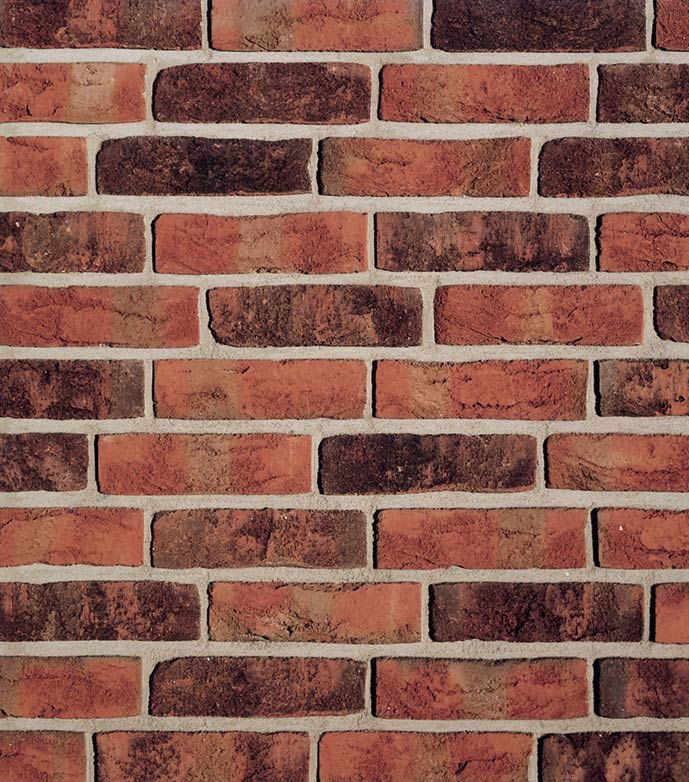 FORMBACK graphit-bunt