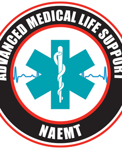 amls-300x300.png