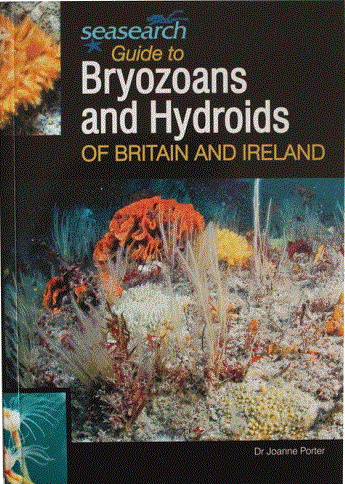 BryozoansAndHydroids_front-500x500
