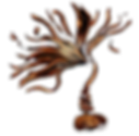 imageedit_1_6923299703.png