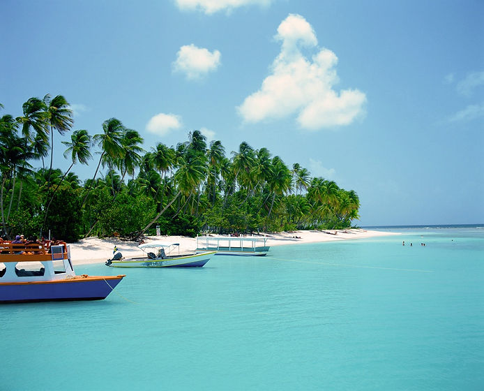 Tropical%20Beach_edited.jpg