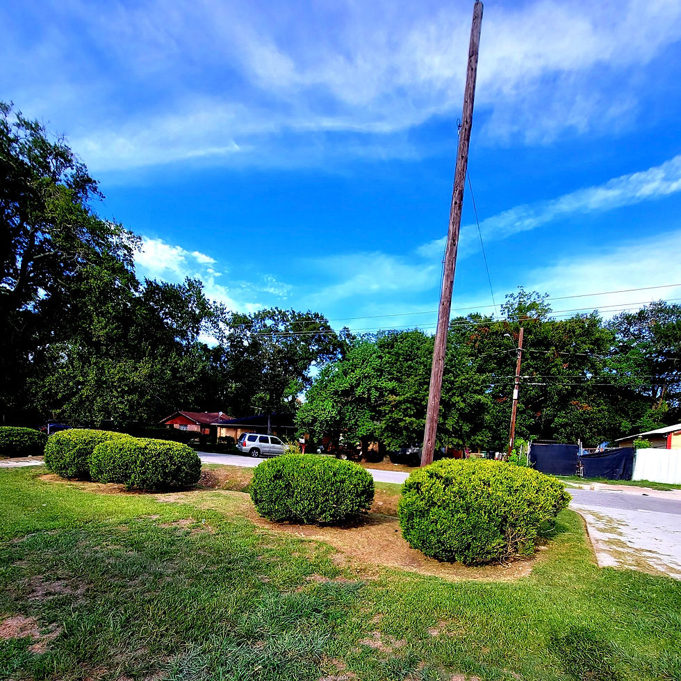 Commercial Landscaping