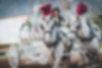 A whimsical scene at Santa Anita Park in Arcadia, featuring a beautifully adorned horse-drawn carriage with elegant white horses and striking red plumes, capturing a fairytale moment.