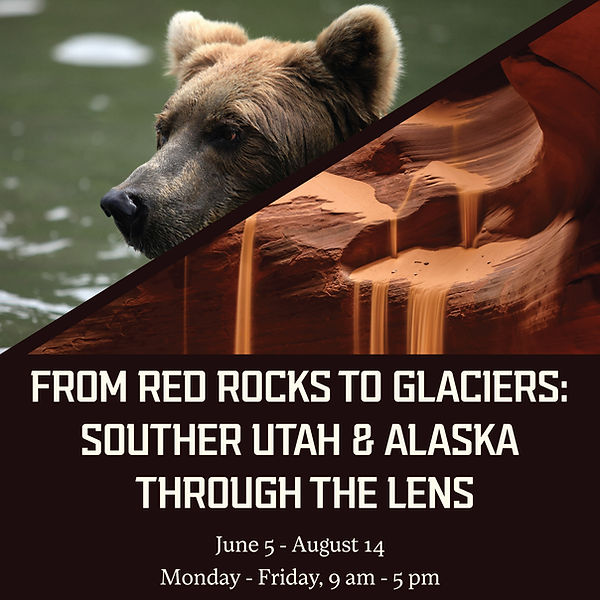 all_socialmedia_Through_The_Lens_ copy.jpg