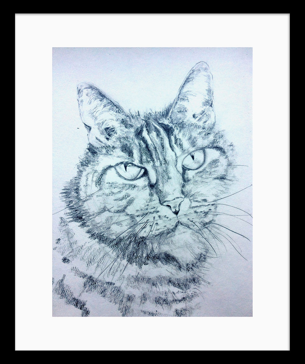 Thumbnail: Print -  Rainbow - Pastel