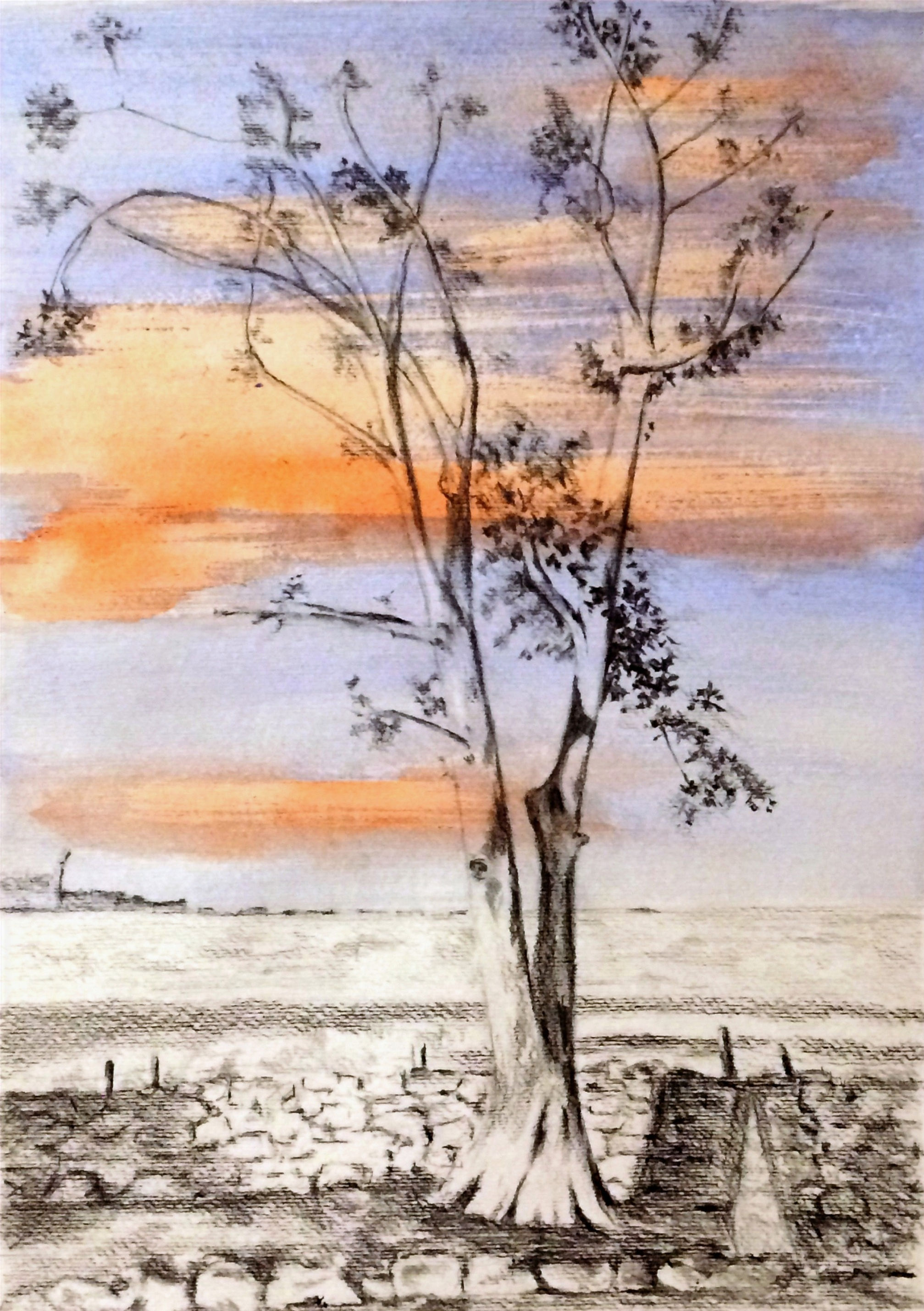 Print -  Winter Tree - Pencil and Watercolour