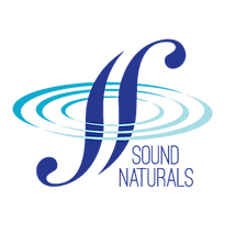 SN-logo-variation-4.png