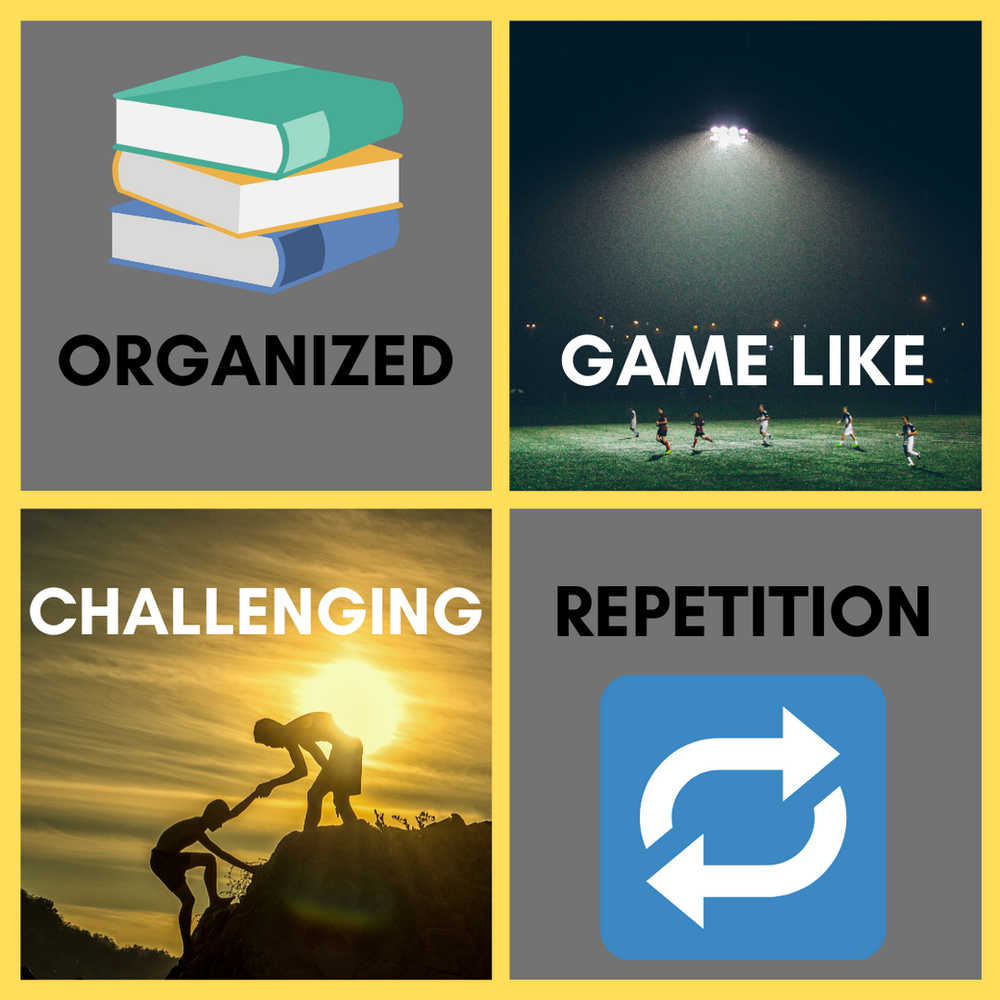 5 Elements of Training Activity