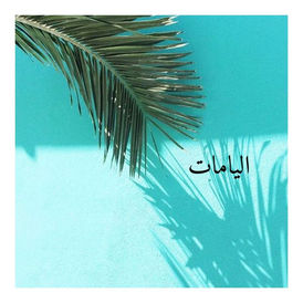 2.1. ما هم اليامات؟
