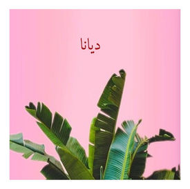 2.7. ما هي الديانا؟
