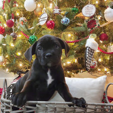 Eva Runt 3 _edited_edited_edited.jpg