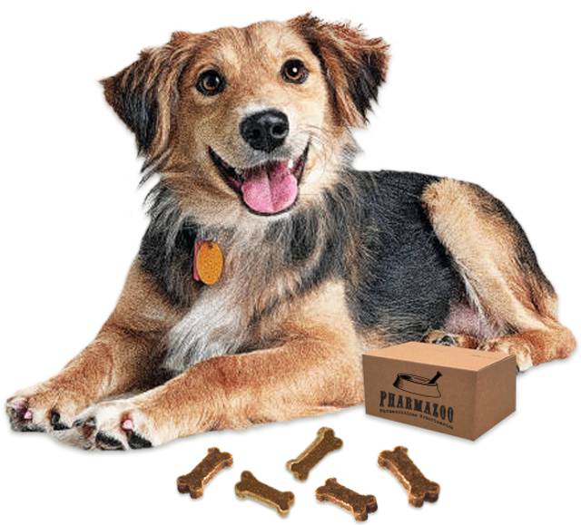 PerritoConHuesitos.png