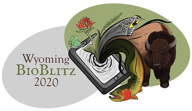 Wyoming BioBlitz 2020 - Final.jpg