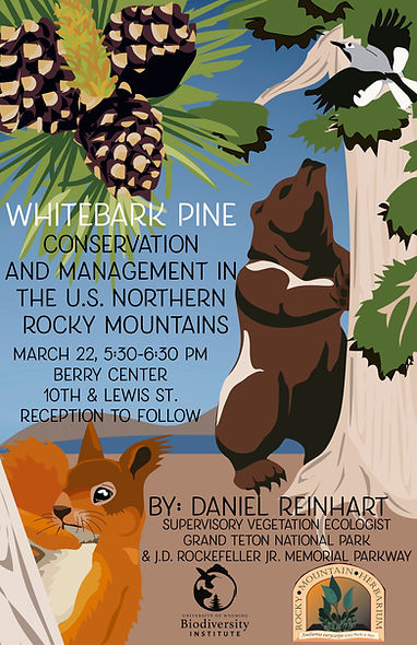 Whitebark pine Flyer.jpg