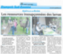2017 presse .jpeg