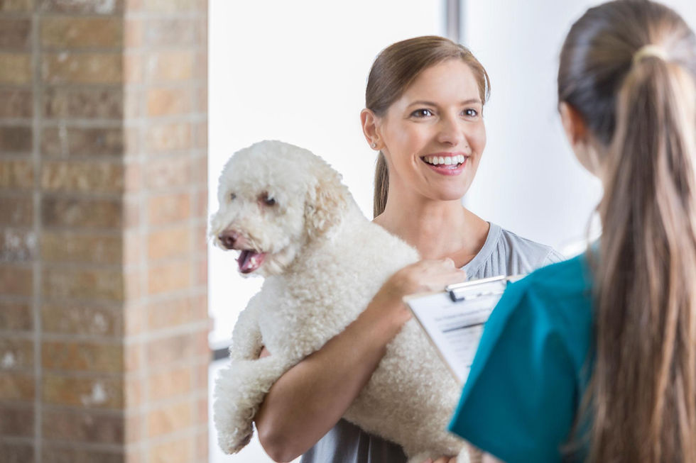 Mobile veterinarian visiting a pet owner’s home in Redlands.