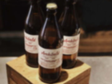 Archibald – Ginger Beer de Dégustation - Format : 6 × 50cl
