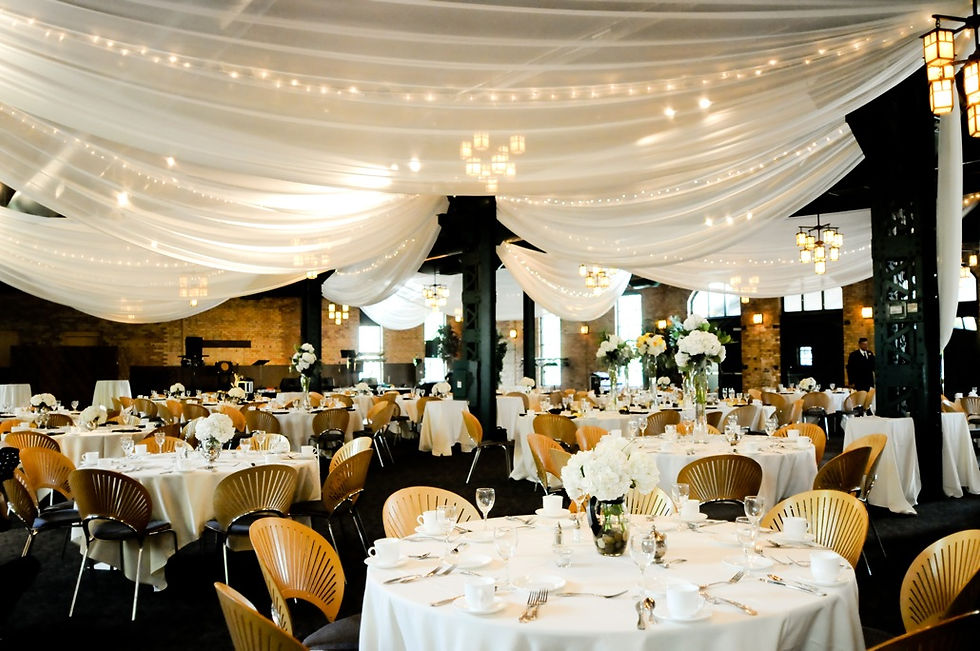 Ceiling Swags Voile