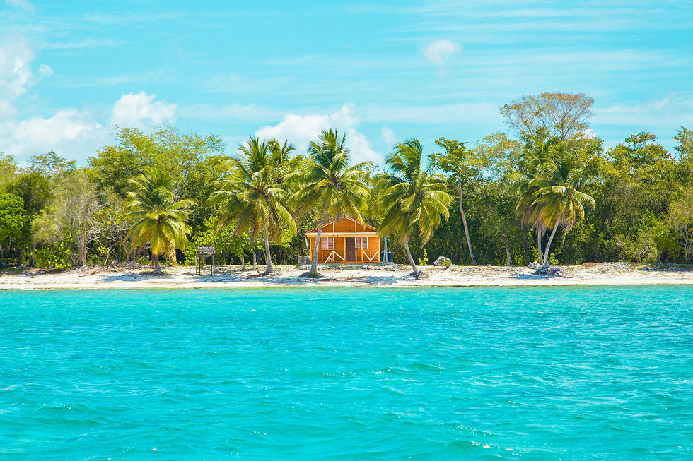 Tropical beach scene with a wooden hut and palm trees. Bright blue ocean and sky create a serene, inviting atmosphere for relaxation.