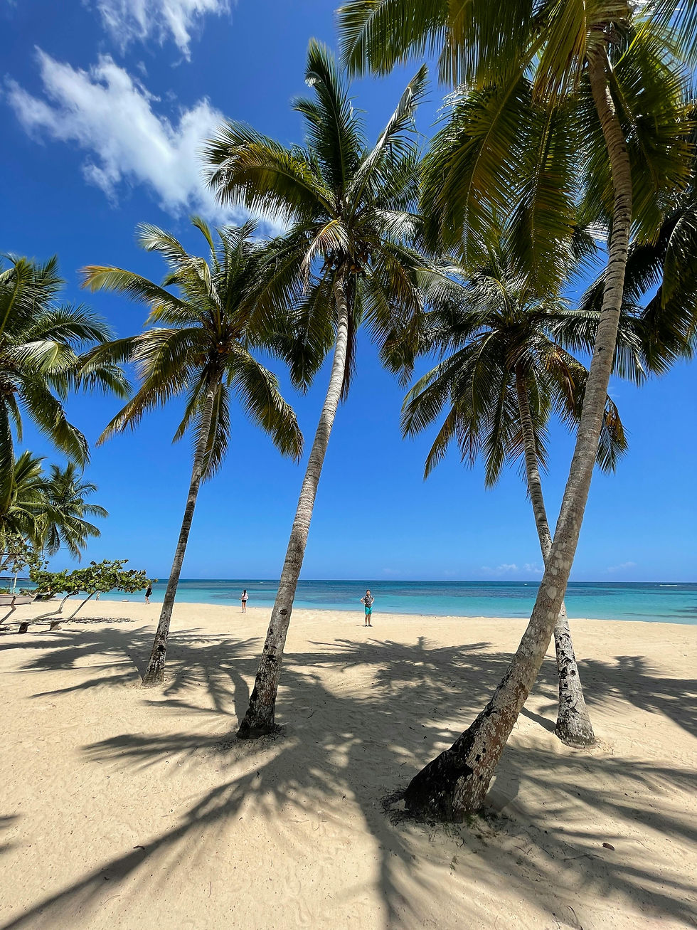 Palm trees cast shadows on a sandy beach with two people in the distance. The sky is bright blue, and the ocean is calm, creating a tropical vibe.