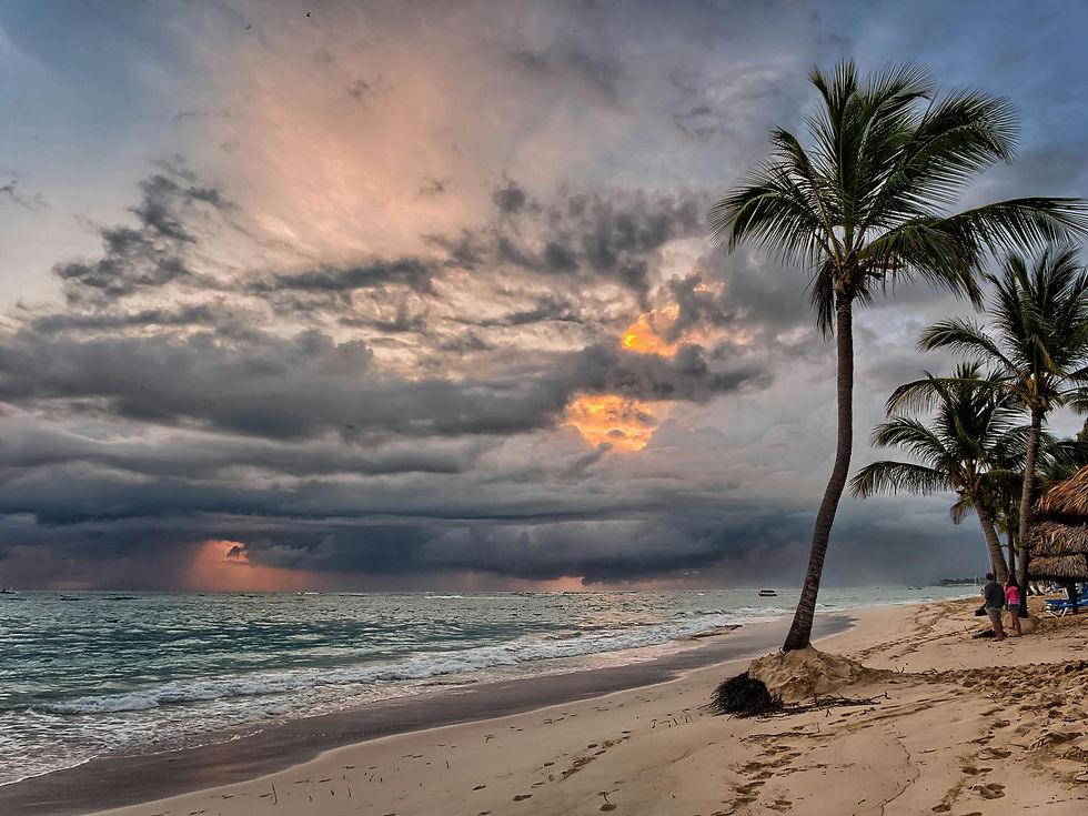 Palm trees on a tropical beach at sunset, with moody clouds and a hint of orange light. Two people walk along the sandy shore.