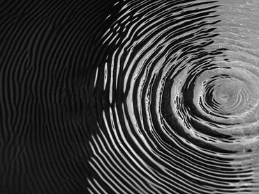 A Letter From Your Nervous System