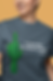 Cactus middle finger to Kari Lake t-shirt